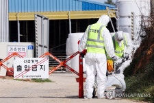 구제역 청정지역 뚫린 전남 영암 한우농장…축산인들 근심