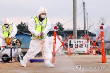 방역대 바깥에서도 구제역 발생…전남도 방역 비상(종합)
