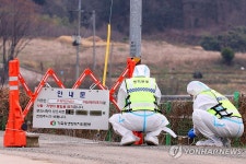 일파만파 구제역 한우농장 출입 통제하는 방역본부