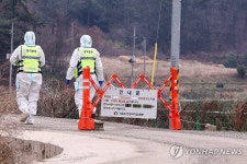 일파만파 구제역 출입 통제된 무안 한우농장