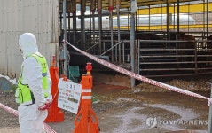 구제역 발생한 한우농장