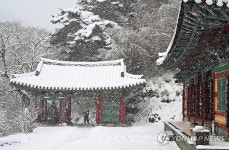 함박눈 내리는 송계사