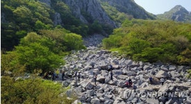 봄기운 가득 해남 달마고도 토요일에 걸으면 더 신난다