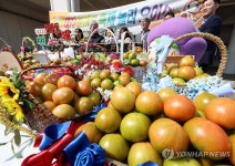 부산 강서구 대저 토마토 축제…22일부터 이틀간
