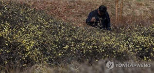 [날씨] 꽃샘추위 가고 봄날…큰 일교차·미세먼지 나쁨