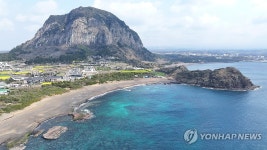 제주 서귀포의 봄