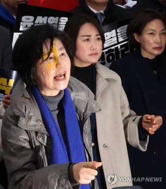 계란 봉변 당한 민주당 백혜련 의원
