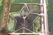 연간 20만명 찾는 시흥 연꽃테마파크, 전망대 상시 개방