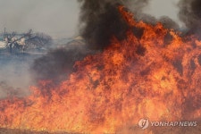 의성 산불 강풍에 불씨 옮겨붙은 마을
