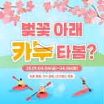 군산시 은파호수공원서 카누 타고 벚꽃 구경하세요