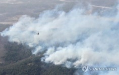 세계문화유산 안동 하회마을이 위험하다…10㎞ 앞까지 산불 확산