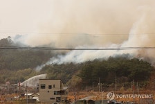 울주군 언양읍 산불