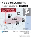 [그래픽] 경북 북부 산불 인명 피해 현황