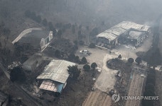 [르포] 괴물 산불 덮친 경북 영양 삼의계곡…전쟁터처럼 파괴됐다