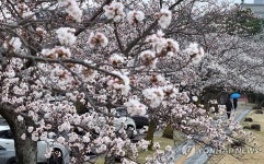 단비 내리는 제주