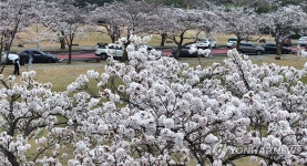 단비 내리는 제주