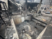 [현장] 화마가 휩쓸고 간 청송 달기약수터…잿더미 된 관광 명소들