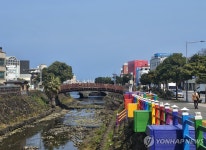 덜컹덜컹 제주 산지천 도로, 8년 만에 돌길 포장 걷어낸다
