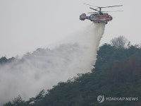 [속보] 산림청장 오늘 산불진화 유리한 환경…진화헬기 집중 투입