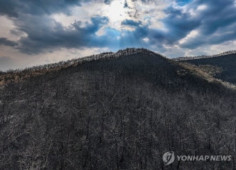 경북 산불 '진화 완료'…폐허 된 산림 비추는 햇살