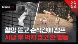 [BlaccTV] 죽은 염소가 자꾸 꿈에 나와 폐업합니다…버려진 개들의 역습
