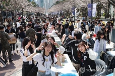국립부경대학교 벚꽃축제 핑크캠퍼스
