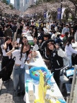 국립부경대학교 벚꽃축제 핑크캠퍼스