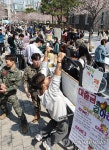 국립부경대학교 벚꽃축제 핑크캠퍼스