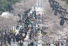 국립부경대학교 핑크캠퍼스