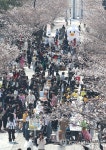 국립부경대학교 핑크캠퍼스