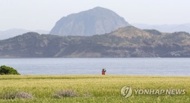 [서귀포소식] 청보리축제 가파도서 길고양이 보호 캠페인