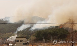 울산시립아이돌봄센터, 울주 언양 산불 때 대피아동 긴급돌봄