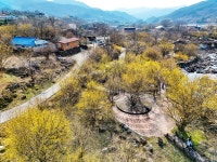 [걷고 싶은 길] 지리산 봄 마중, 구례 산수유 길