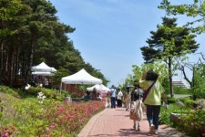 [속초소식] 산책하고 장도 보고…노리숲길 숲속마켓 운영 재개