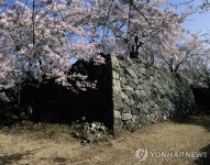 울주 7대 벚꽃 명소 놀러오세요…추첨으로 특산품도 증정