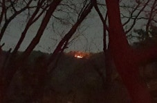 Naver 搜索结果照片 1