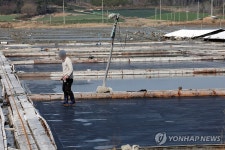 전남도, 美 신안 태평염전 천일염 수입 차단에 당혹(종합)