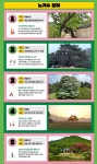 산림청, 노거수 5그루·보호수 5그루 올해의 나무로 선정