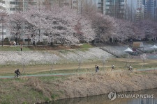 봄 기운 찾아 온 중랑천
