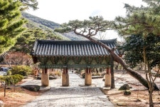 [여행honey] 부산 시민의 친구 금정산과 범어사