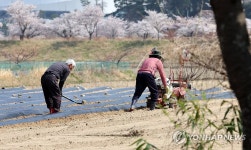 농사 준비로 바쁜 들녘…강릉시 운정동