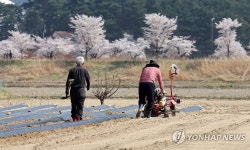 농사 준비로 바쁜 들녘…강릉시 운정동
