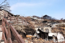 화마 할퀴고 간 영덕 석리