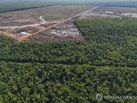 인니 파푸아 반군 금광 노동자 위장한 군인 17명 사살 주장