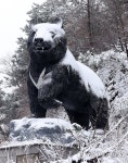 다시 겨울잠 자야 하나