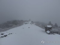 4월에 눈꽃 핀 지리산 노고단