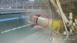 경기 여주정수장서 깔따구 유충 발견…음용 자제해야