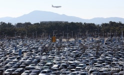 인천공항 주차장 30대 차량털이범 구속…문 안 잠긴 차량 노려