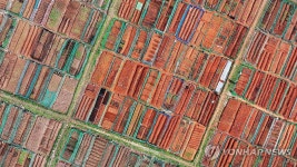 본격적인 농사 시작되는 곡우