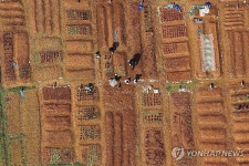곡우, 분주한 주말농장